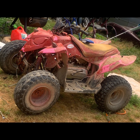 Meet your Posher, Treyquan - Picture 1 of 1